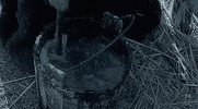 shocked tv show GIF by Vikings on HISTORY
