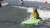 Dog Pet GIF by BuzzFeed