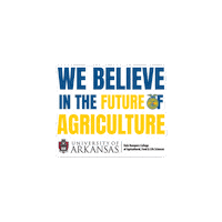 University Of Arkansas Football Sticker by BumpersCollege