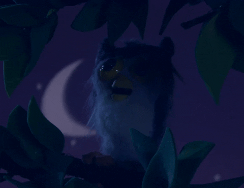 Season 3 Owl GIF by Nanalan'