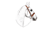 Vintage Horses Sticker by equestriess