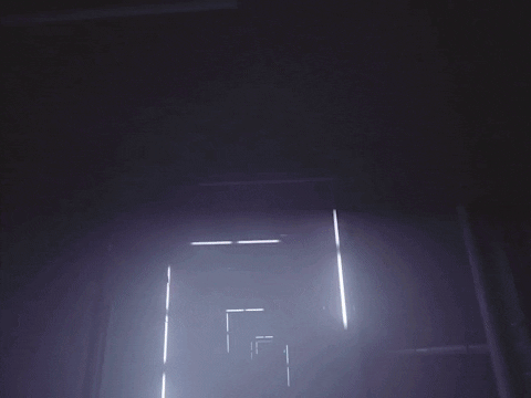 Toronto Zoo Lighting GIF by Moment Factory
