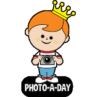 Picture Photo Sticker by OriginalFunko