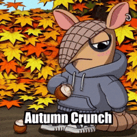 GIF by Chillo Dillo