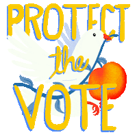 Voting Rights Georgia Sticker by Creative Courage