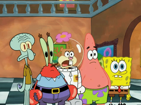season 5 GIF by SpongeBob SquarePants