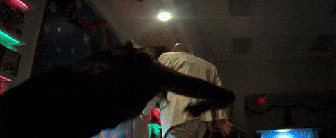 d4b123123r32513244 giphyupload GIF