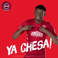 south african soccer GIF