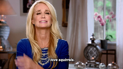 Real Housewives Of Beverly Hills Squirrels GIF