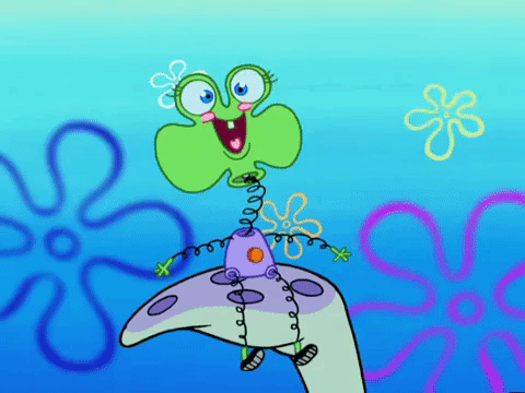 season 5 episode 3 GIF by SpongeBob SquarePants