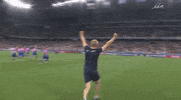 euro2016 GIF by Sporza