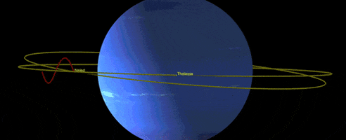 cb260cff64f94d288deab3d5d4e26e32 giphyupload GIF