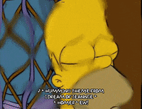 homer simpson episode 3 GIF