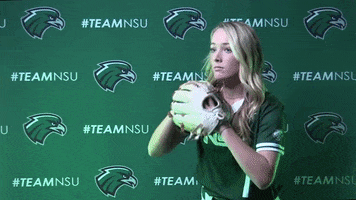 Softball GIF by RiverHawk Sports