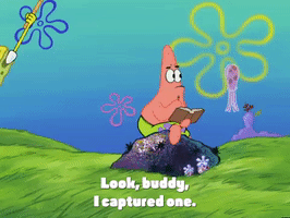 season 4 GIF by SpongeBob SquarePants