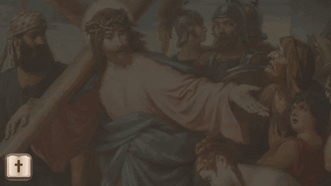 NatF0x giphyupload GIF