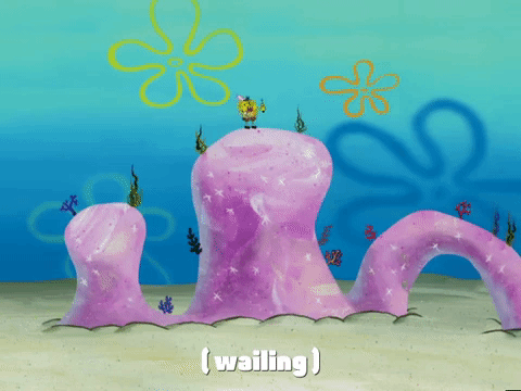 season 4 GIF by SpongeBob SquarePants