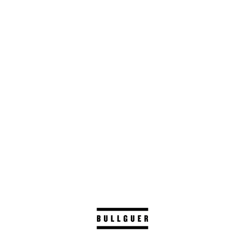 Meme Sp Sticker by Bullguer