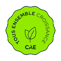 French Croissance Sticker by CAE