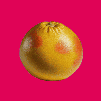 Energy Comida GIF