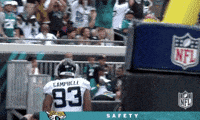 2018 Nfl Football GIF by NFL