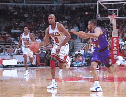 chicago bulls GIF