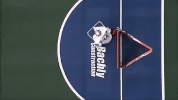 GIF by WarriorLax