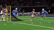 warriorlax warriorlax GIF