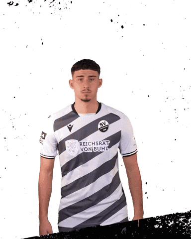 3Liga Wirechtanders GIF by SV Sandhausen