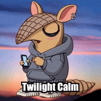 Wisdom Enlightenment GIF by Chillo Dillo