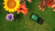 Dance Phone GIF by Tkay Maidza