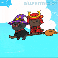 Harry Potter Cat GIF by Silly Kitties