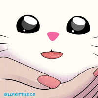 Cats Cute Cat GIF by Silly Kitties