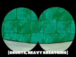 season 5 episode 10 GIF by SpongeBob SquarePants