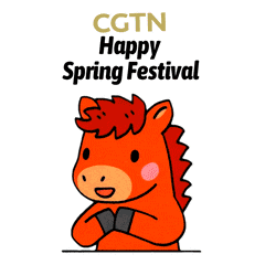 Spring Festival Thumbs Up Sticker by CGTN V-Studio