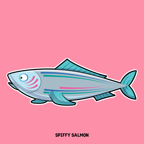 Best Friend Fish GIF by VeeFriends