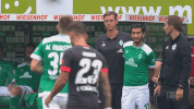 eggestein werde GIF by SV Werder Bremen