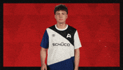 Arminia Bielefeld Football GIF by Bundesliga