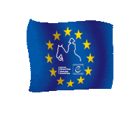 Napoleon Bonaparte Sticker by Destination Napoleon