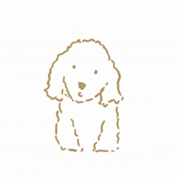 Edbard what huh question mark wha GIF