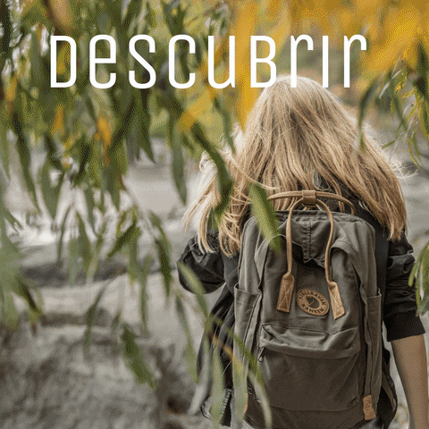 bevanlifer backpack vanlife camper vanlifer GIF