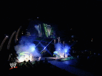 wwe sports wwe wrestling summerslam GIF