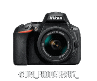 Nikoninstabadge D5600 Sticker by NikonIndia