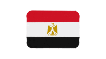 Flag Egypt Sticker by EmojiVid