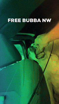Bubba GIF