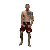 Dvorak David Dvořák Sticker by TV NOVA