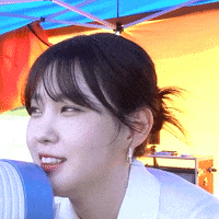 K Pop No GIF