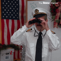 Reno 911 GIF by The Roku Channel