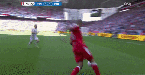euro 2016 GIF by Sporza