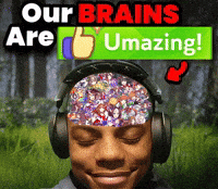 Horse Brain GIF